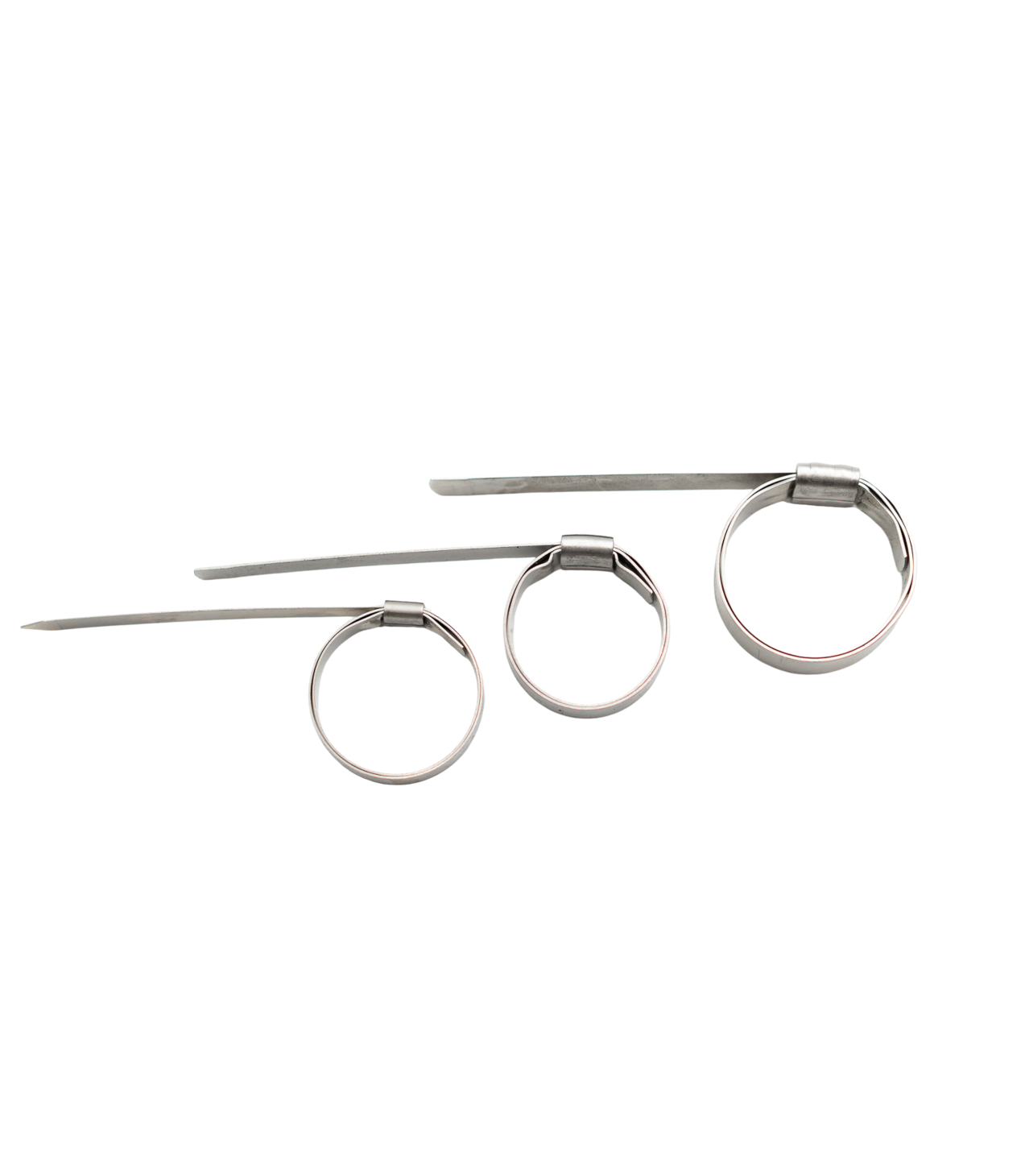 Stainless Steel Bandit Clamps
