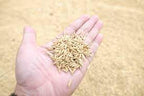 Warne Buffalo and Native Grass Seed