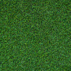 Premium Farm Lawn Seed Mix